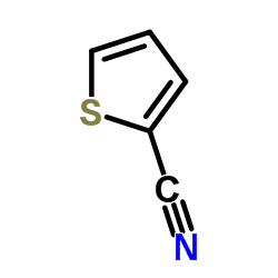 2-Thiophenecarbonitrile