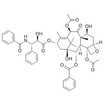 Paclitaxel