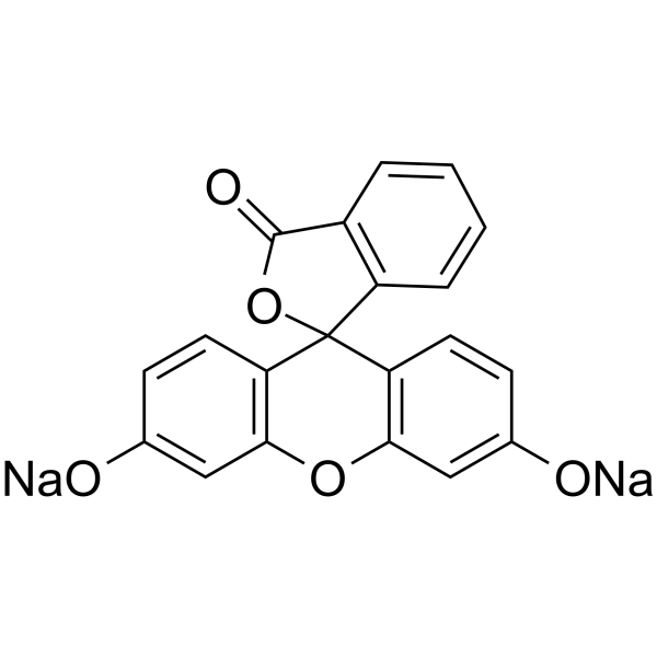 Fluorescein disodium