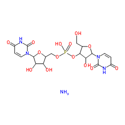 uricase