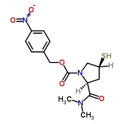 Side chain for meropenem