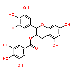 Tea flower extract