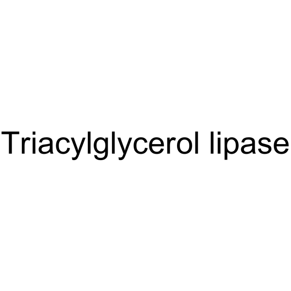 Lipase