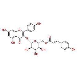 tiliroside