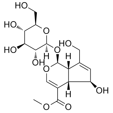 6-beta-羟基栀子苷；鸡屎藤次苷甲酯