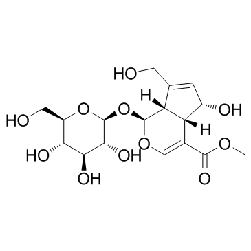 6α-羟基京尼平苷