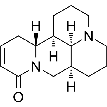 槐果碱