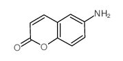 6-氨基香豆素