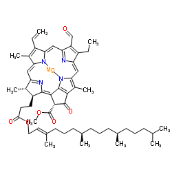 Chlorophyll b