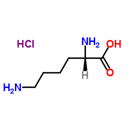 L-Lysine hydrochloride