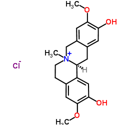 Phellodendrine chloride