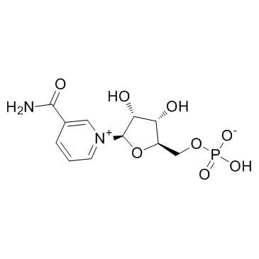 Nicotinamide mononucleotide (NMN)