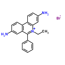 Ethidium Bromide