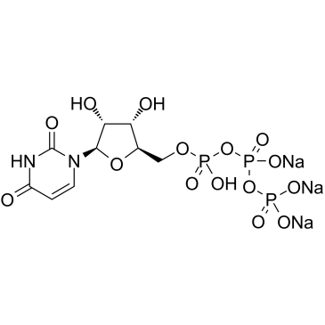 尿苷-5'-三磷酸三钠盐Uridine-5'-triphosphoric acid trisodium salt