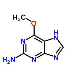 2-氨基-6-甲氧基嘌呤O-methylguanine