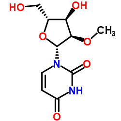 2'-O-Methyluridine