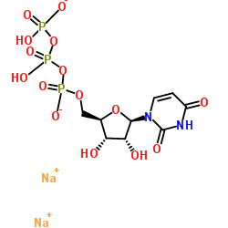 三磷酸尿苷二钠Uridine-13C9-15N2 5'-(tetrahydrogen triphosphate) sodium salt