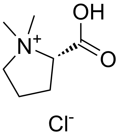 Stachydrine Hydrochloride