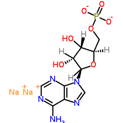 5'-腺苷酸二钠Adenosine 5'-monophosphate disodium salt