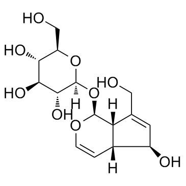 桃叶珊瑚苷