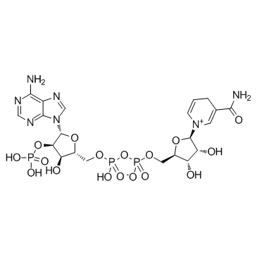 烟酰胺腺嘌呤二核苷酸磷酸  NADP Triphosphopyridine nucleotide
