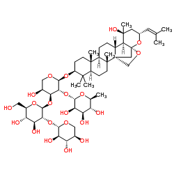 酸枣仁皂苷B