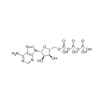 Adenosine triphosphate