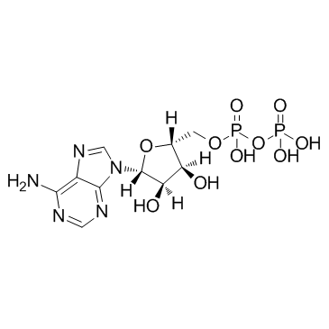 腺苷二磷酸ADP