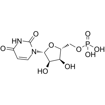 Uridine monophosphate