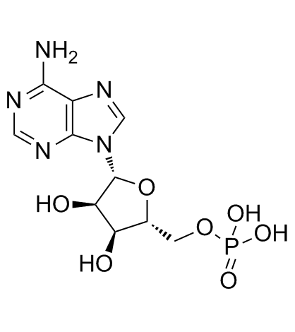 5'-Adenylic acid