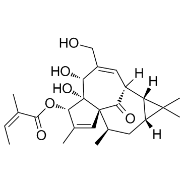Ingenol-3-angelate