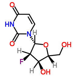 2'-Deoxy-2'-fluorouridine