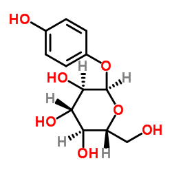 Alpha Arbutin