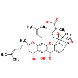 Neogambogic acid