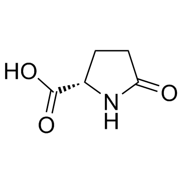 L-Pyroglutamic acid