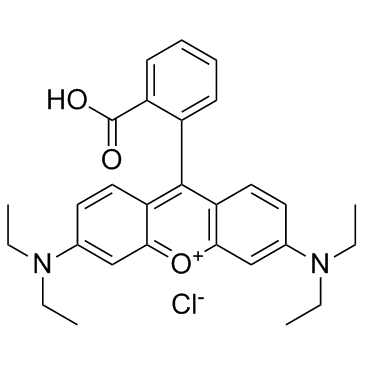 RhodamineB
