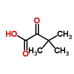 3,3-Dimethyl-2-oxobutyric acid