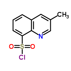 3-甲基-8-喹啉磺酰氯3-Methylquinoline-8-sulfonyl（食品添加剂）