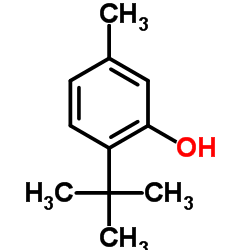 6-tert-Butyl-m-cresol