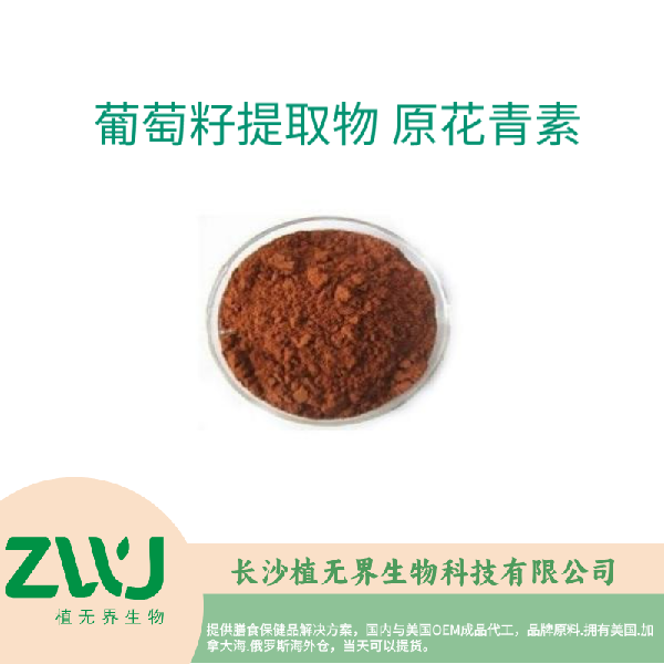 Grape Seed Extract OPC