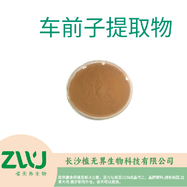 车前子提取物