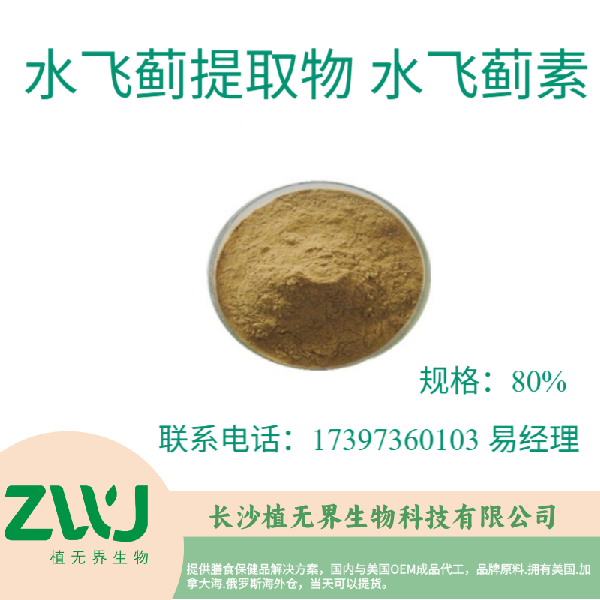 Silymarin Extract